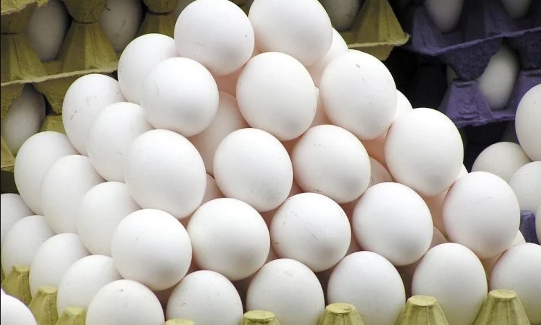 تولید جاذب با استفاده از پر مرغ و پوسته تخم مرغ